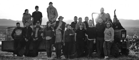 ゲブリューター・マティス