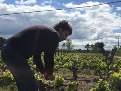 クロ・デュ・ジョゲイロン