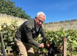 ヴィラ・エステュエール